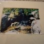ED Waterford Waterfall Color Matted Photo 8x10