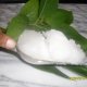 Ylang Ylang and Coconut Massage Oil