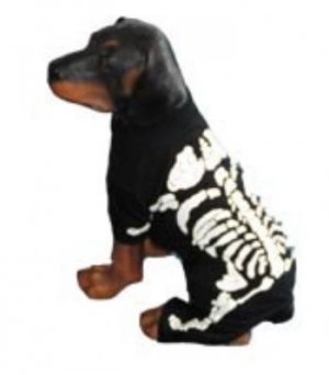 Dog Clothes Adorable Skeleton Halloween Dog Costumes