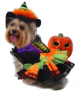 Dog Clothes Adorable Halloween Witch Dog Costumes