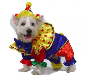 Dog Clothes Adorable Shiny Clown Dog Costumes