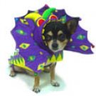Dog Clothes AdorableMardi Paws Dog Costumes
