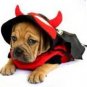 Dog Clothes Adorable Devil Halloween Dog Costumes