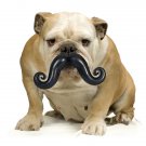 Dog Toys Adorable Humunga Stache Dog Toy