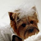Dog Clothes Adorable Wedding Dress Veil
