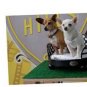 Dog Beds Black & White Stripe & Polka Dots With Black Base Bed Set