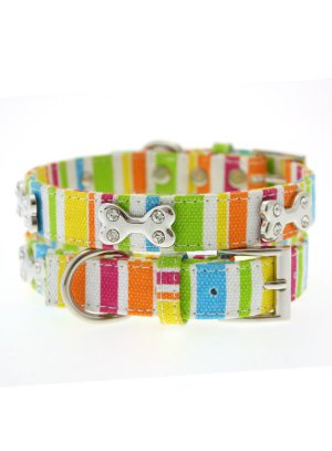 Dog Collars Striped Neon Canvas Diamante Bone Collar & Leash Set