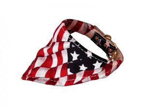 Dog Collars America the Beautiful Bandana Collar