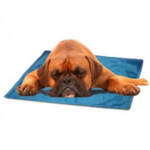 Dog Clothes Waterless Cool Pet Pad