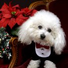 Dog Clothes Adorable Formal Tuxedo Bib w/White Tux Bib With Black Satin Bowtie