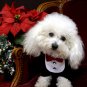 Dog Clothes Adorable Formal Tuxedo Bib w/White Tux Bib With Black Satin Bowtie