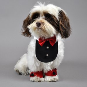 Dog Clothes Adorable Red/Black Paw Cuffs