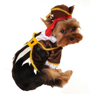 Dog Clothes Adorable Pirate Captain Halloween Dog Costume