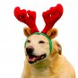 Dog Toys Adorable Holiday Reindeer Antlers