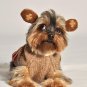 Dog Clothes Adorable New!! Monkey Sweater Hoodie