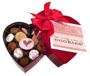 Dog Clothes Adorable Valentine Boxed Treats
