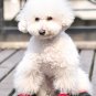 Dog Clothes Adorable Air Doggy Style Pink Dog Boots