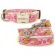 Collars and Leashes