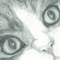 Lifelike Pet Portrait