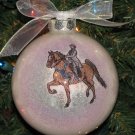American Saddlebred With Rider