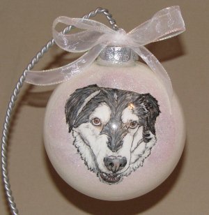 Custom Pet Portrait Ornament