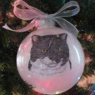 Custom Pet Portrait Ornament