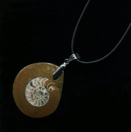 Ammonite Fossil Teardrop Pendant Necklace