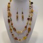 Gold & Brown Bead Necklace & Earring Set