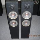Rs 6000 1" Tweeter 6" Woofer x 2 2 Way 120 Watts RMS Tower Speaker