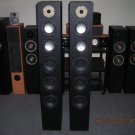 Rs 20000 1" Tweeter 5" Subwoofer x 2 6" Woofer x 3 295 Watts RMS Tower Speaker