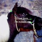 SilverPrism Miniature horse Show halter Mini Pony XS-XL