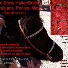 Stallion Welsh Show Halter, bitted Type, Custom fit