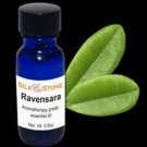 Ravensara Essential Oil (Agathophyllum Aromatica)