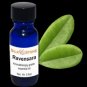 Ravensara Essential Oil (Agathophyllum Aromatica)
