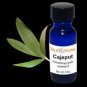 Cajeput Essential Oil