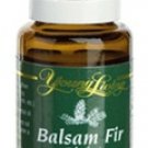 Balsam Fir Essential Oil (Idaho) - 15 ml