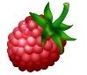 Raspberry Flavored Hawaiian Cane Sugar, 3/4 oz.