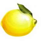 Lemon Flavored Hawaiian Cane Sugar, 3/4 oz.