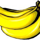 Banana Flavored Hawaiian Cane Sugar, 3/4 oz.