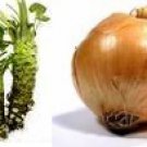 Wasabi Onion Hawaiian Seasoned Salt, grinder bottle