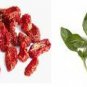 Sun-dried Tomato Basil Hawaiian Seasoned Salt, grinder bottle
