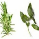 Rosemary Basil Hawaiian Seasoned Salt, grinder bottle