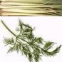 Lemongrass Dill Hawaiian Seasoned Salt, grinder bottle