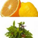 Citrus Herb Hawaiian Seasoned Salt, grinder bottle