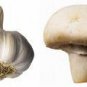 Garlic Mushroom Hawaiian Seasoned Salt, grinder bottle