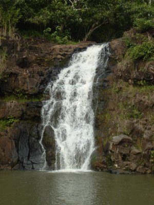 Tahitian Waterfall Conditioning Scented Pumice Stone