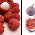 Fig Lychee Conditioning Scented Pumice Stone