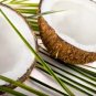 Coconut Conditioning Scented Pumice Stone