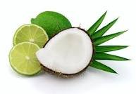 Coconut Lime Perfume Oil