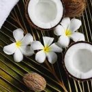 Exotic Coconut Perfume Oil